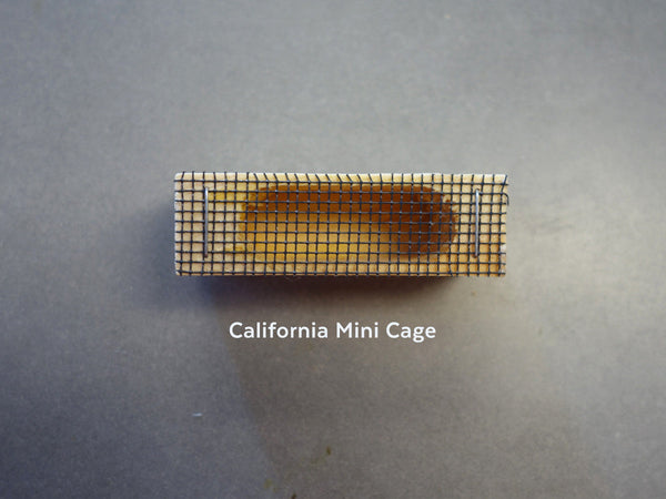 california mini cage