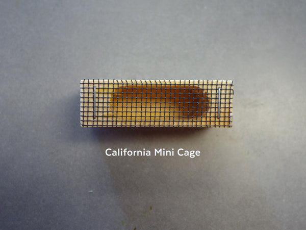 California mini cage